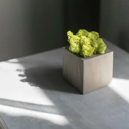 Apartamentai Lembergas