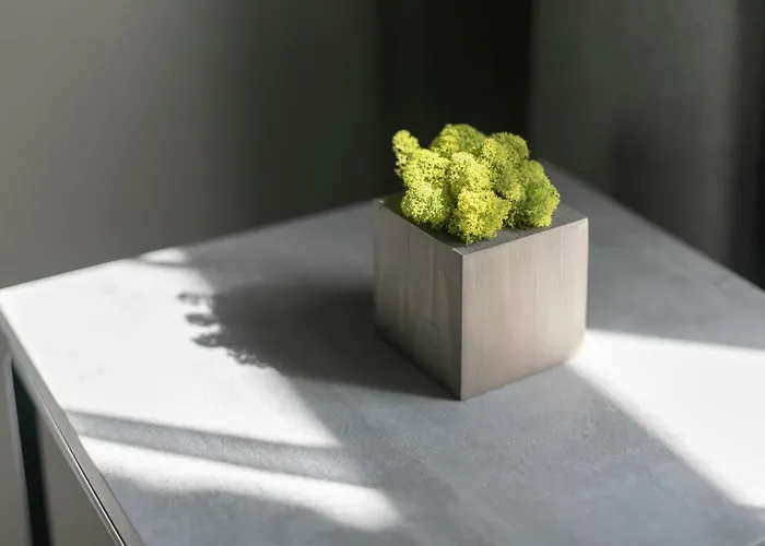 Apartamentai Lembergas