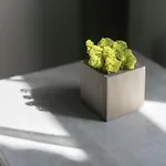 Apartamentai Lembergas